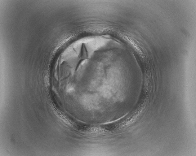 X0000115800399200912041538