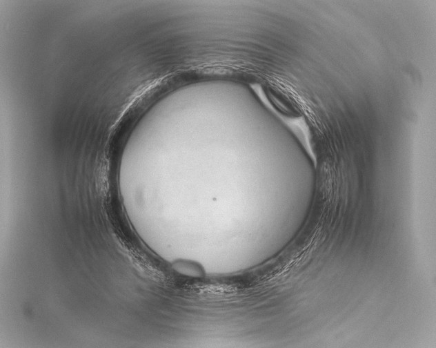 X0000115800400200912041538