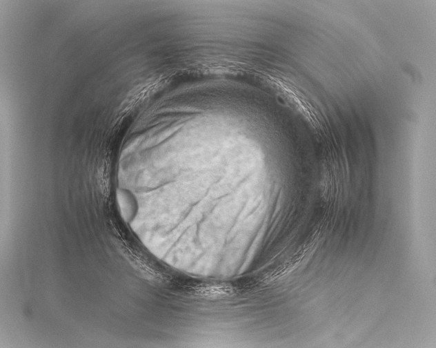 X0000115800402200912041538