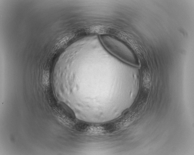 X0000115800403200912041538