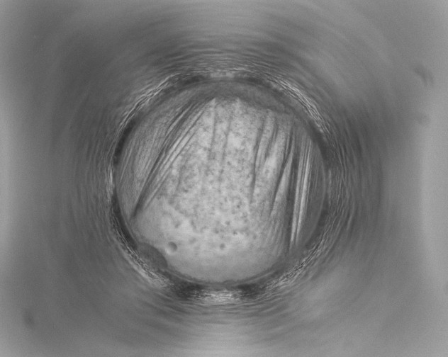 X0000115800405200912041538