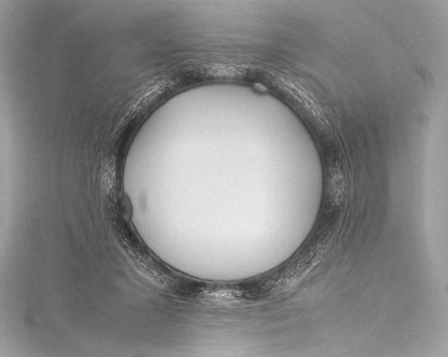 X0000115800407200912041538