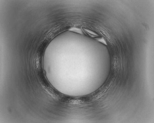 X0000115800408200912041538