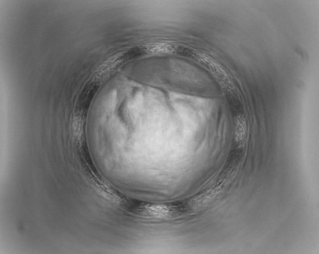 X0000115800409200912041538