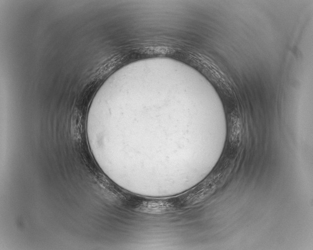 X0000115800414200912041537