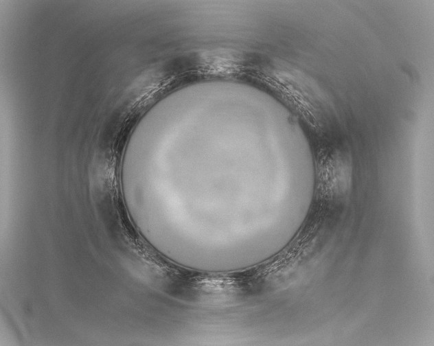 X0000115800415200912041537