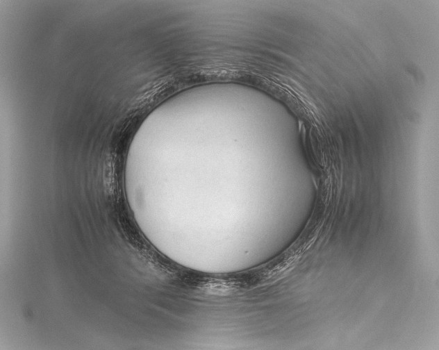 X0000115800416200912041537