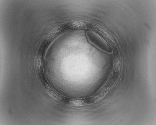 X0000115800417200912041537