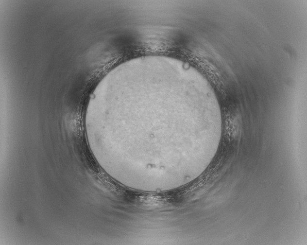 X0000115800419200912041537