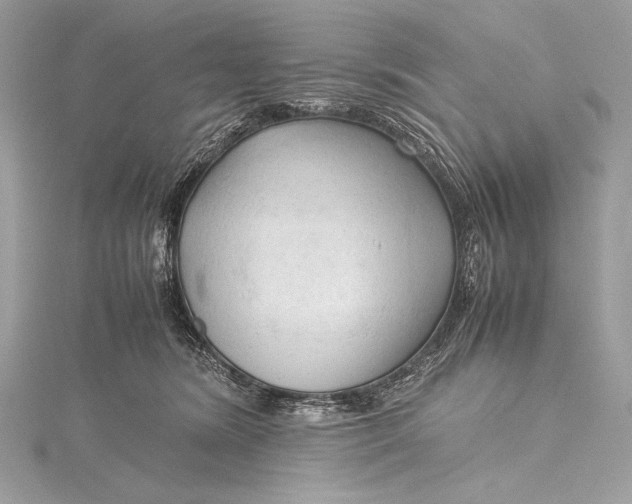 X0000115800420200912041537