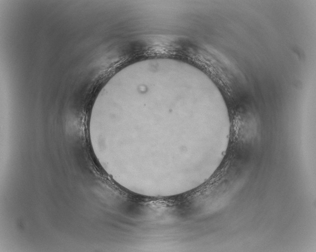 X0000115800423200912041537