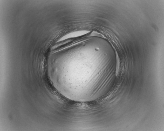 X0000115800424200912041537