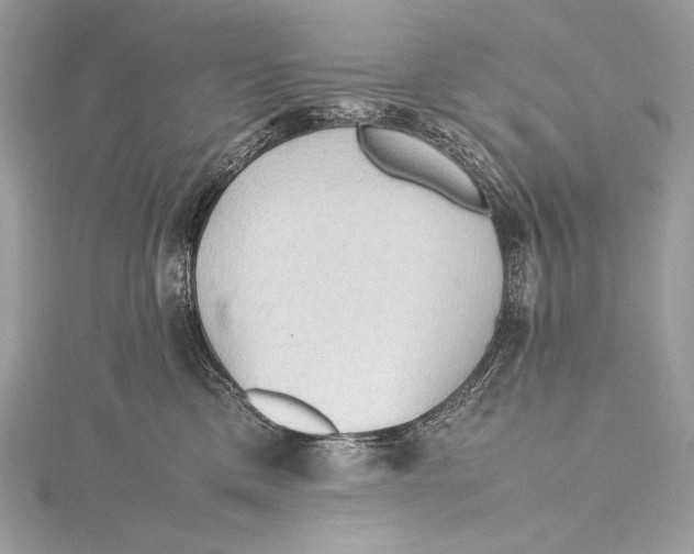 X0000115800425200912041537