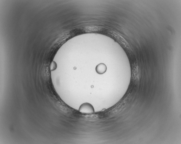 X0000115800426200912041537