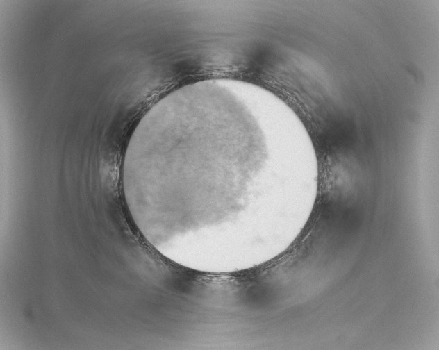 X0000115800427200912041537