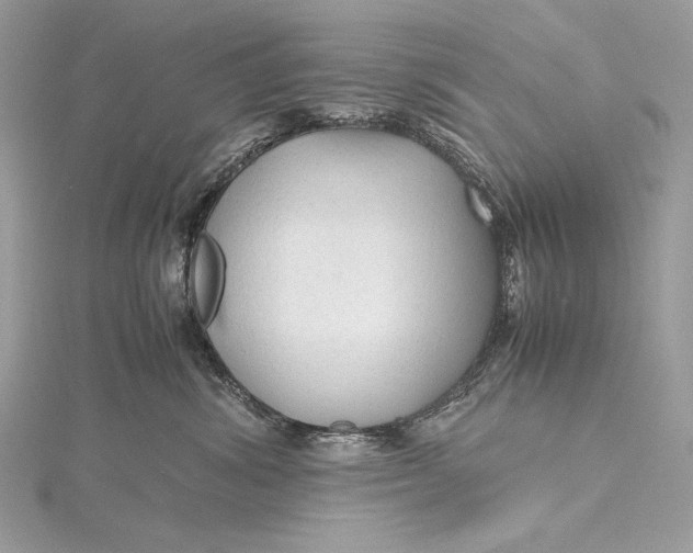 X0000115800428200912041537