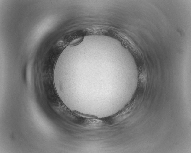 X0000115800429200912041537