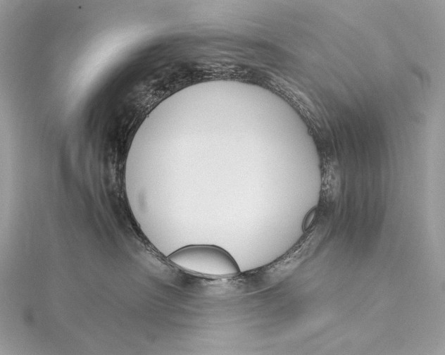 X0000115800430200912041537