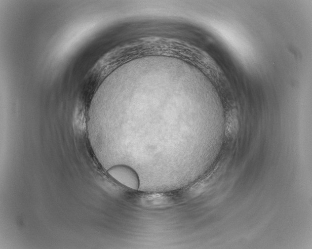 X0000115800431200912041537