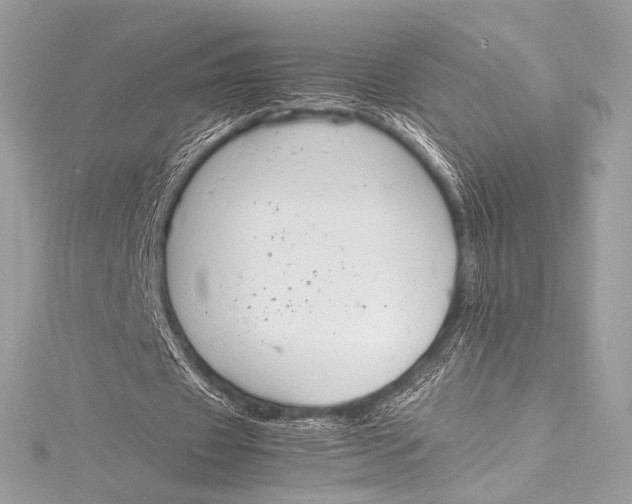 X0000115800433200912041537