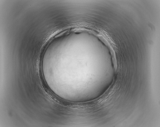 X0000115800434200912041537