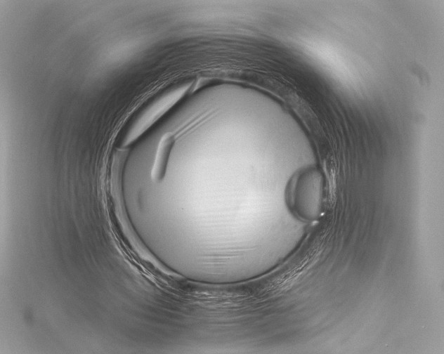 X0000115800435200912041537