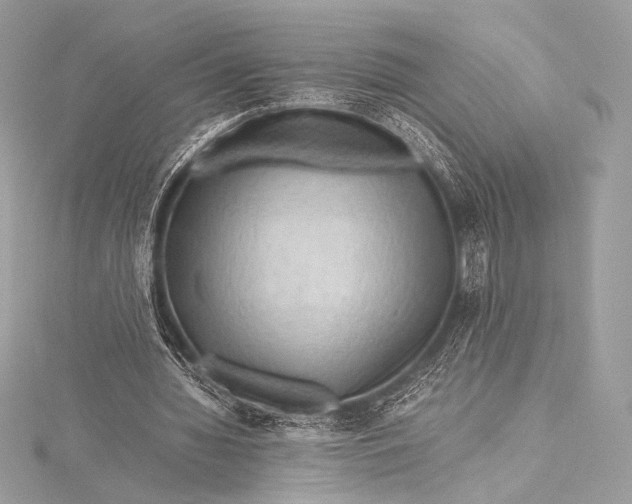 X0000115800436200912041537