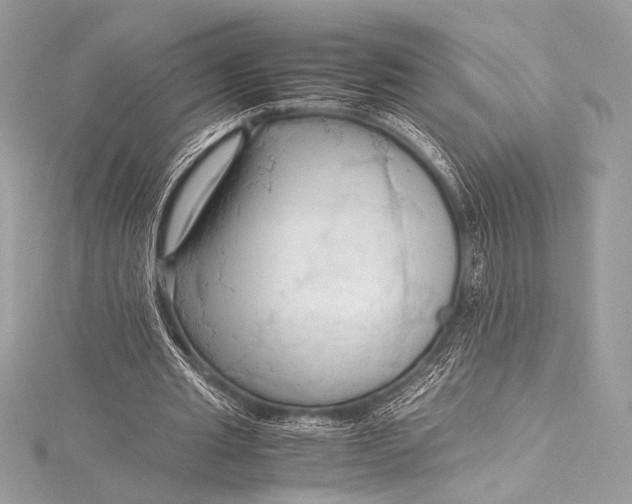 X0000115800437200912041537