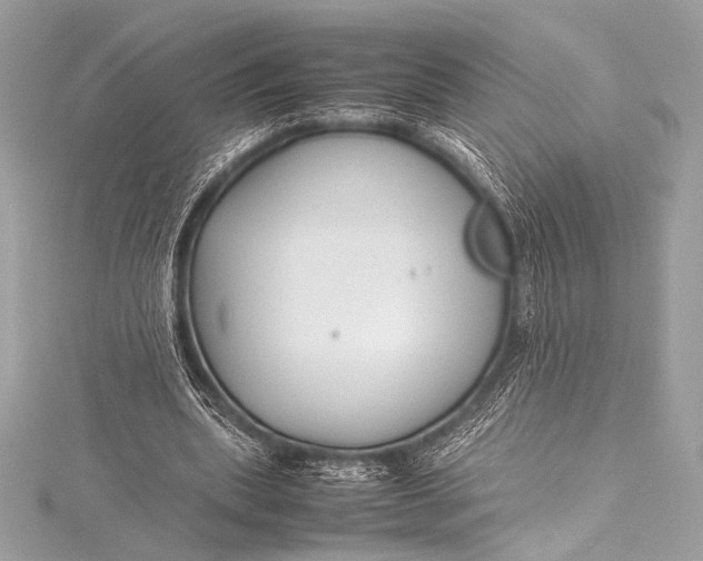 X0000115800439200912041537