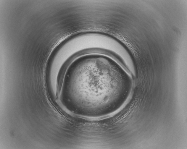 X0000115800440200912041537