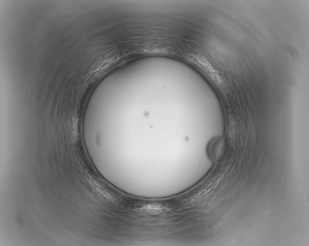 X0000115800441200912041537