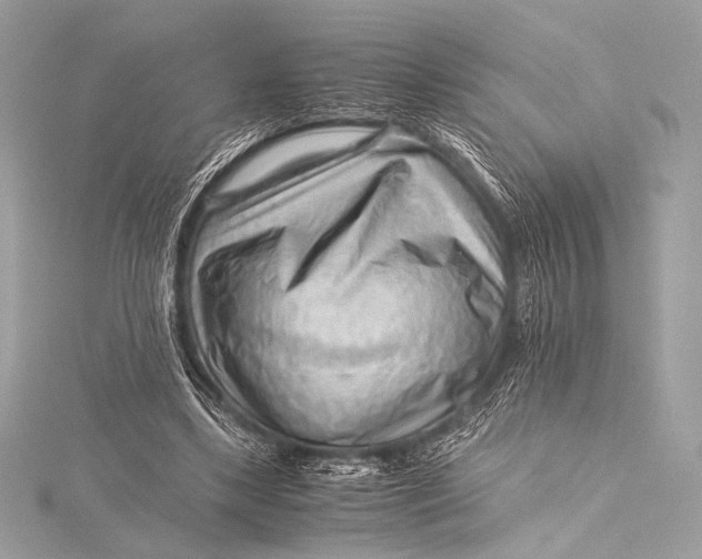 X0000115800443200912041537