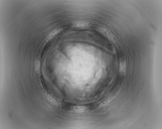 X0000115800444200912041537