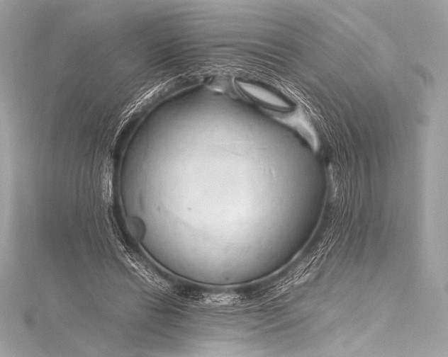 X0000115800446200912041537