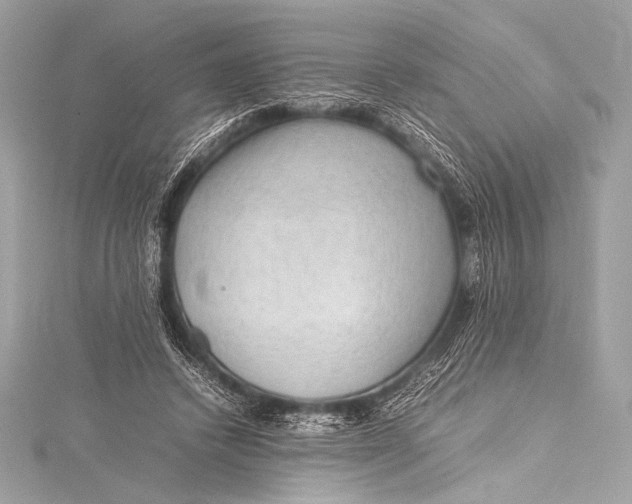 X0000115800448200912041537