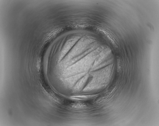 X0000115800451200912041537