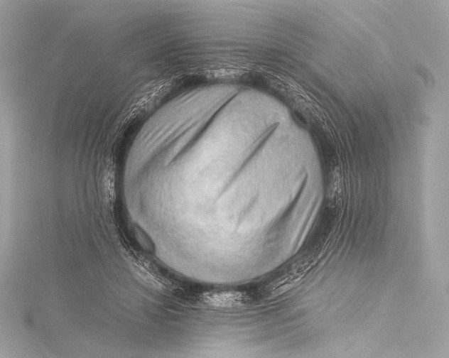 X0000115800452200912041537