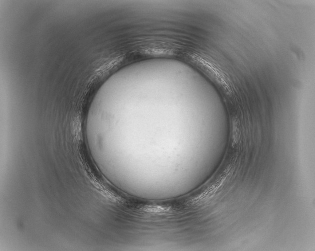 X0000115800453200912041537