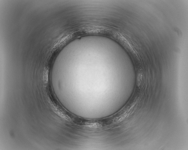 X0000115800454200912041537