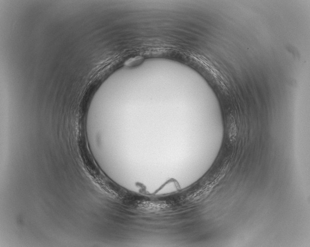 X0000115800455200912041537