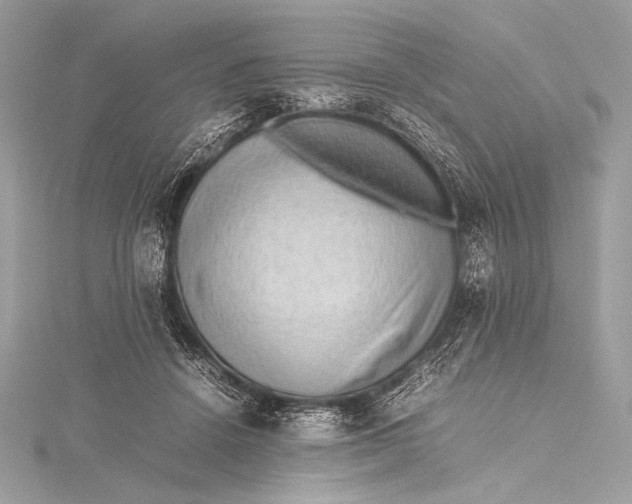 X0000115800456200912041537