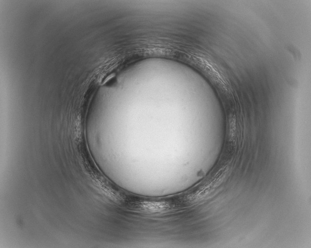 X0000115800457200912041537