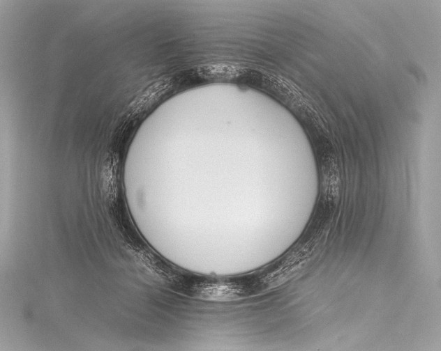 X0000115800460200912041537