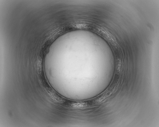 X0000115800461200912041537