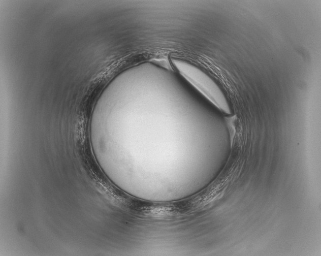 X0000115800462200912041537