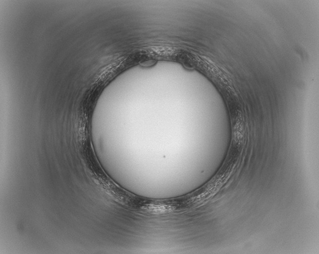 X0000115800464200912041537