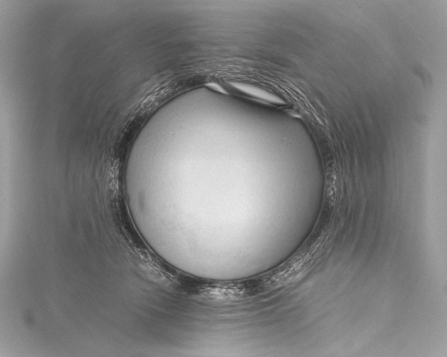 X0000115800466200912041537