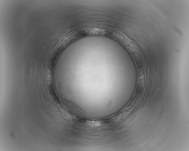 X0000115800469200912041537