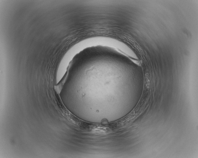 X0000115800471200912041537