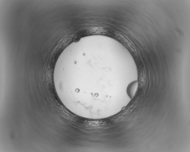 X0000115800473200912041537